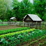 Off Grid Garden & Farm