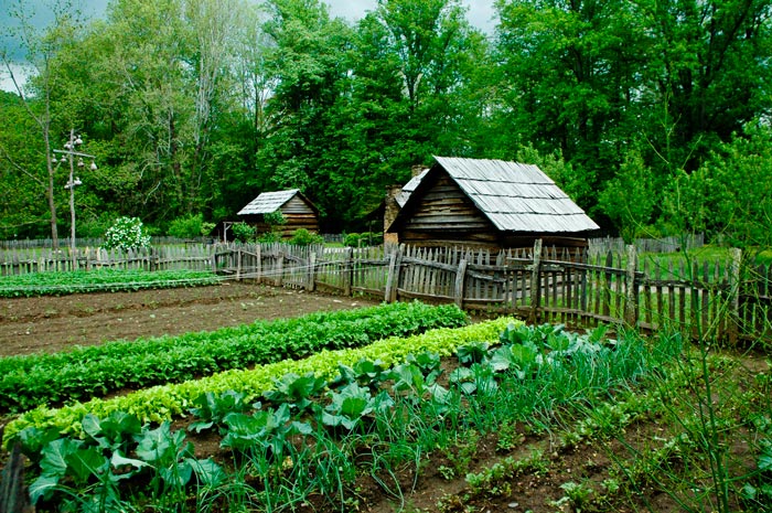 Off Grid Garden & Farm