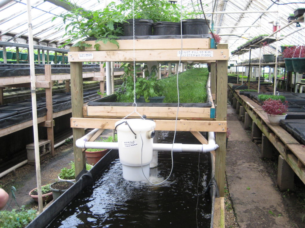 Aquaponics at Growing Power, Milwaukee