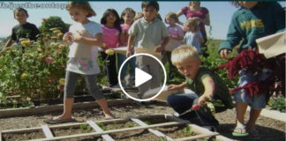 teaching kids how to grow their own food
