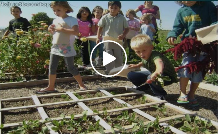 teaching kids how to grow their own food