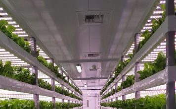 Vertical Farming, The Future of Farming?
