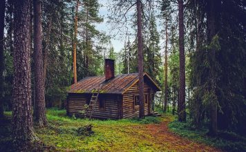 How to live off the grid log cabin