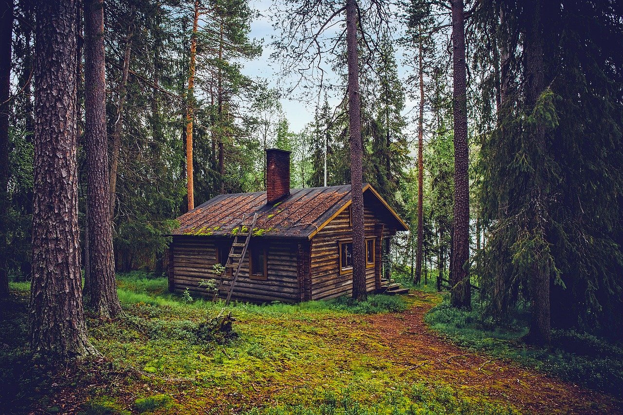 How To Live Off The Grid: The Ultimate Guide To Living Off The Grid