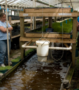 3-tiered aquaponics system.