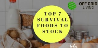 Top 7 Survival Foods to Stock - When You Are Living Off-the-Grid