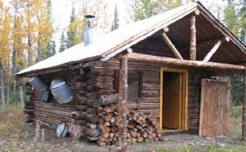 Exciting Off-grid Living Trends For 2021