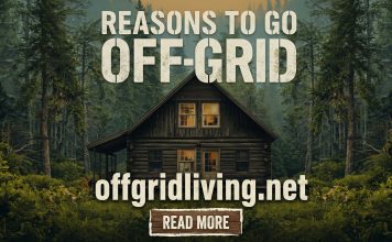 7 Government Shutdown Reasons to Go Off-Grid
