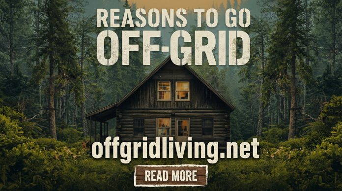 7 Government Shutdown Reasons to Go Off-Grid